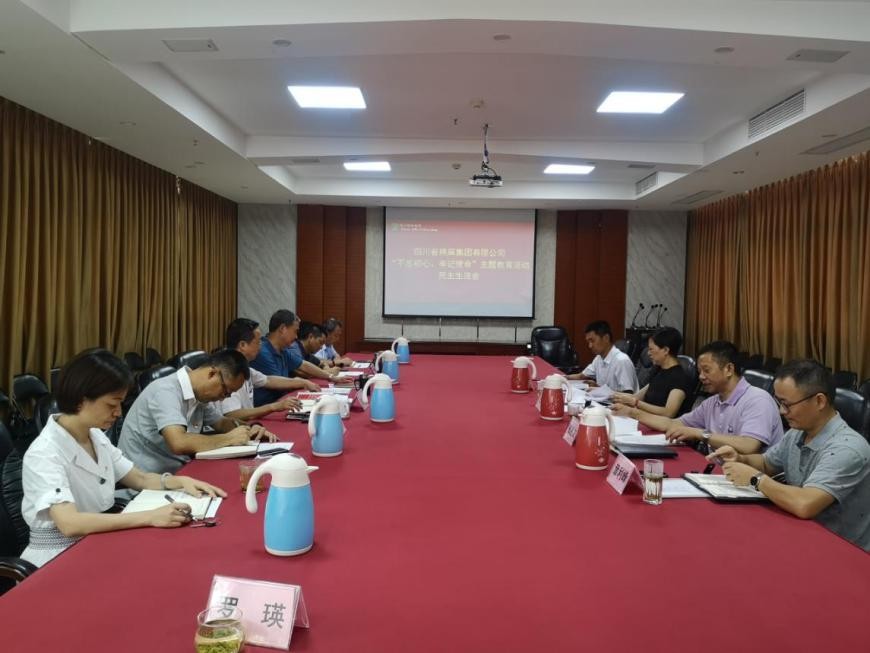 集團(tuán)公司召開“不忘初心、牢記使命”主題教育活動(dòng)民主生活會(huì)