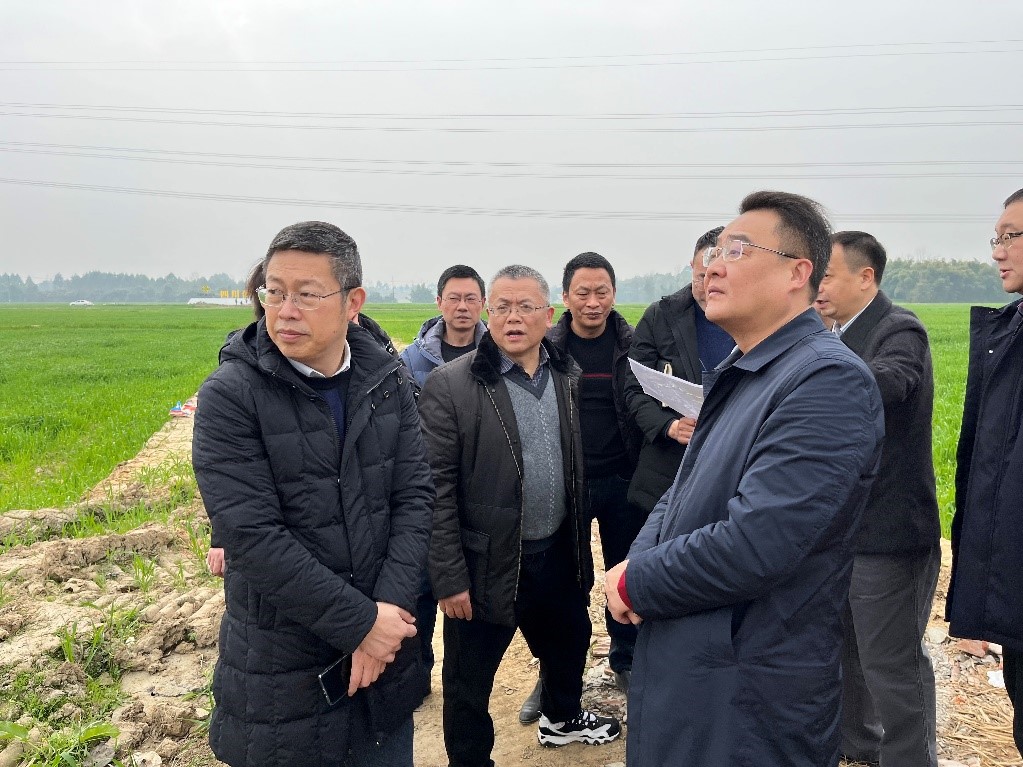 省社、省供投集團(tuán)領(lǐng)導(dǎo)調(diào)研青白江區(qū)四川現(xiàn)代供銷種業(yè)園區(qū)