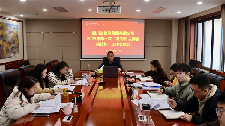 集團公司召開2025年第一次“清欠款、去庫存、調(diào)結構”工作專題會