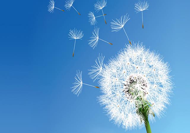 幼兒園、中小學(xué)等教育培訓(xùn)機構(gòu)安裝單向流新風(fēng)系統(tǒng)方案